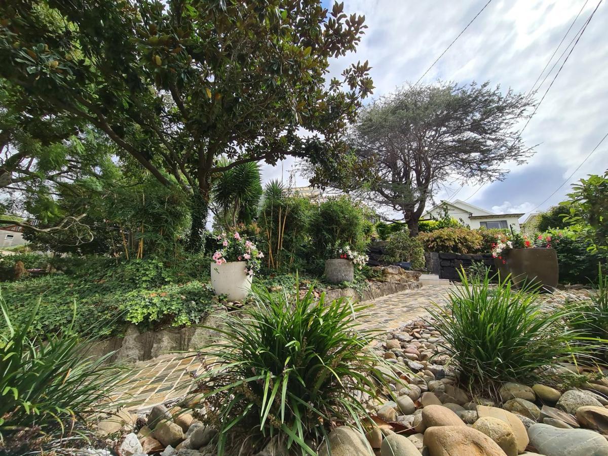 Vista Unit Close To The City & Airport & Train Station And Brighton Le Sands Beach Sydney Kültér fotó